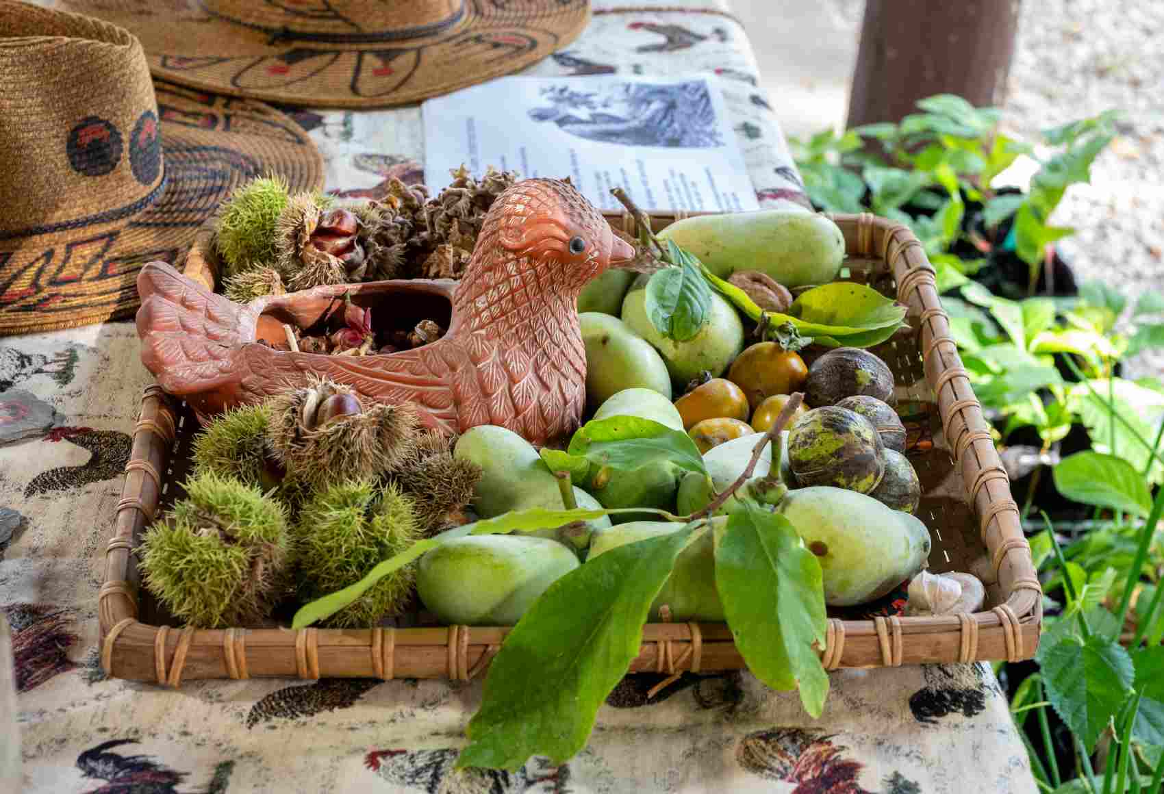 pawpaw fruit in a basket