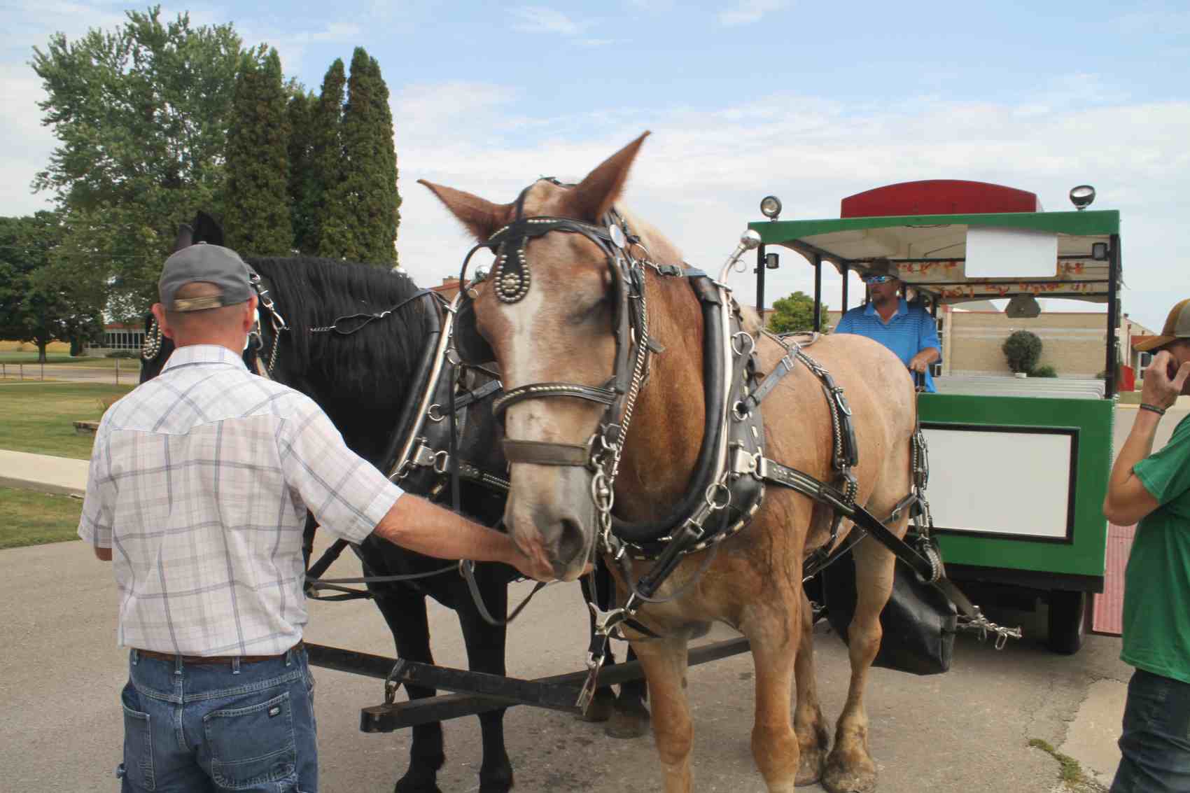Horses pulling a cart